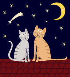 Similar image 21559450