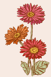 Similar image 21607642