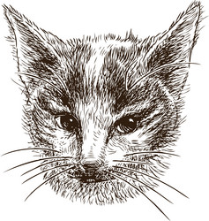 Similar image 21607661