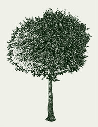 Similar image 21608070