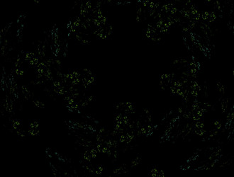 Similar image 21625704