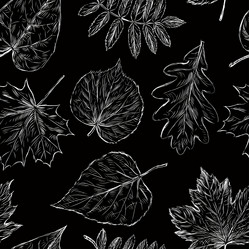 Similar image 21559922