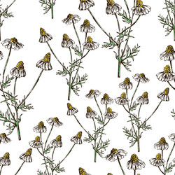 Similar image 21559152