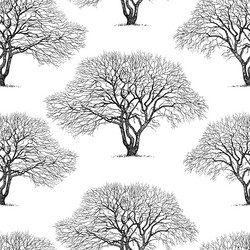 Similar image 21559459