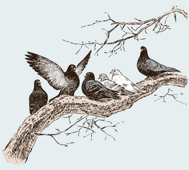 Similar image 21559731