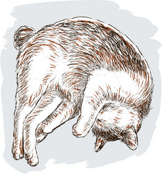 Similar image 21559952