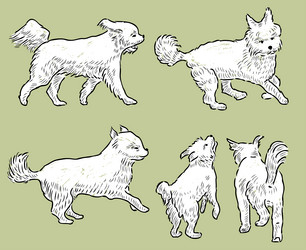 Similar image 21559953