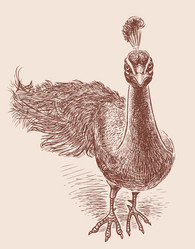 Similar image 21607731