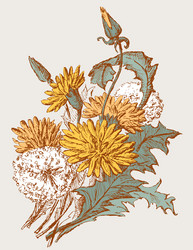 Similar image 21607742