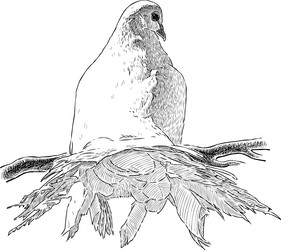 Similar image 21607767