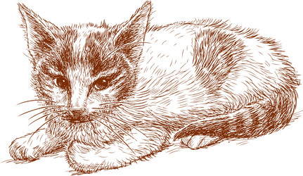 Similar image 21608426