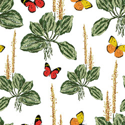 Similar image 21559176