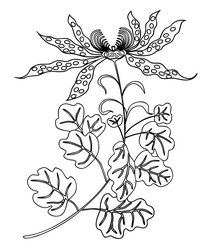 Similar image 21559469