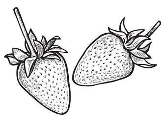 Similar image 21559473