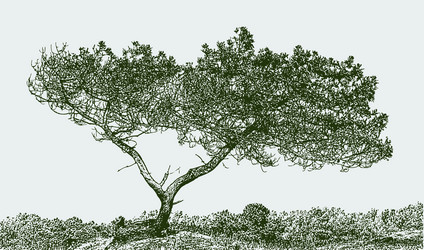 Similar image 21559586