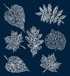 Similar image 21559592