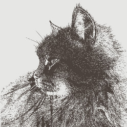 Similar image 21559594