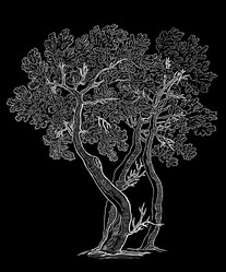 Similar image 21559746