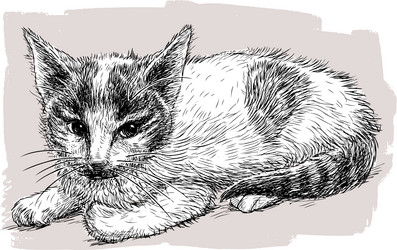 Similar image 21607802