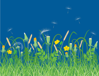 Similar image 21607805