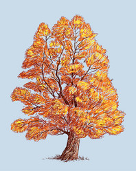 Similar image 21607828