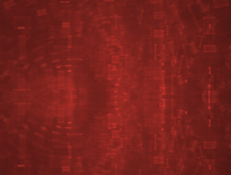 Similar image 21558684