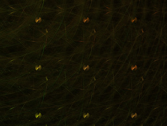 Similar image 21614335