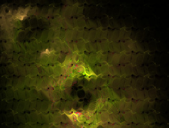 Similar image 21622666