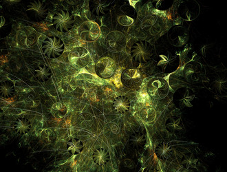 Similar image 21558524