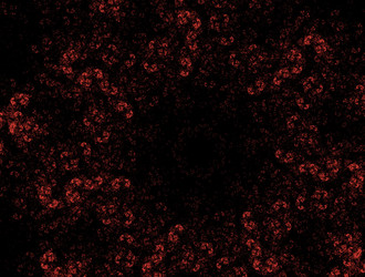 Similar image 21558697