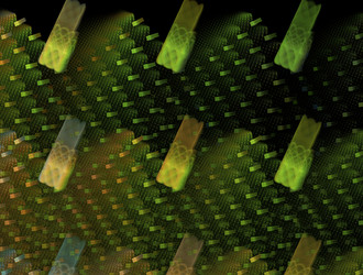 Similar image 21614773