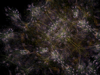 Similar image 21622277