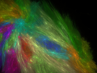 Similar image 21626218