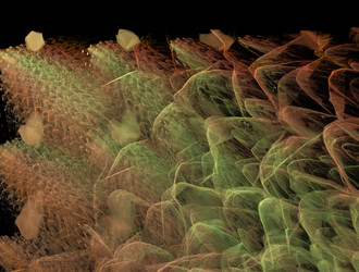 Similar image 21614345