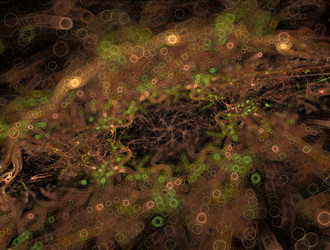 Similar image 21625948