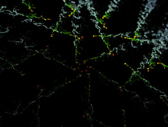 Similar image 21615832