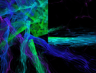 Similar image 21624024