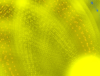 Similar image 21614350