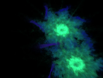 Similar image 21612674