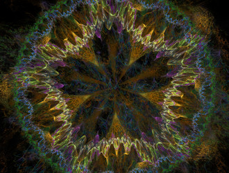 Similar image 21558534