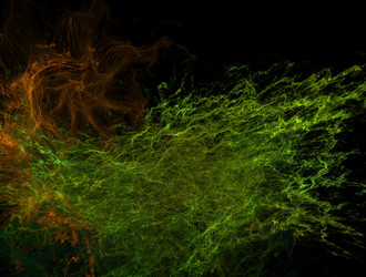 Similar image 21623056