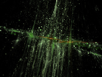 Similar image 21620695