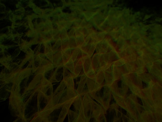 Similar image 21615839