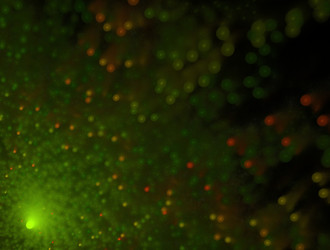 Similar image 21617603