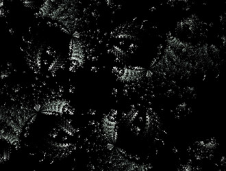 Similar image 21615145