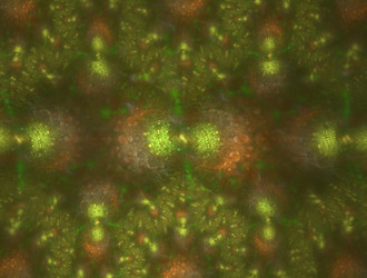 Similar image 21622686