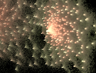 Similar image 21616860