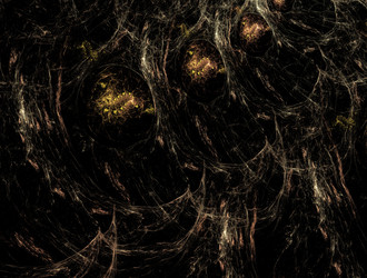 Similar image 21625958