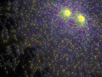 Similar image 21616440