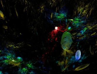 Similar image 21558713